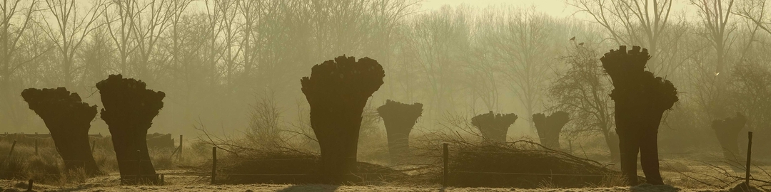 Header N-VA Mechelen