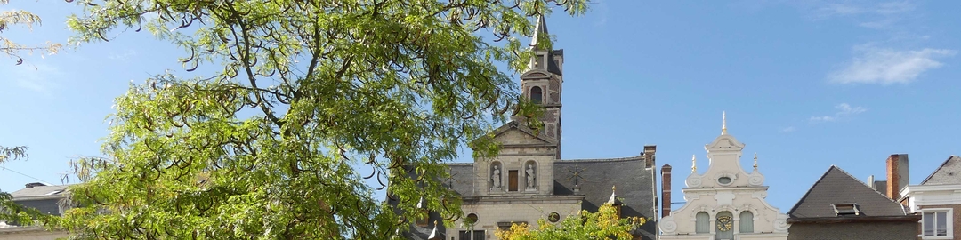 Header N-VA Mechelen